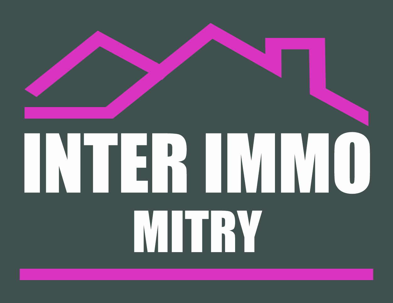 logo INTER IMMO MITRY